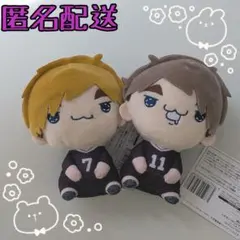 ハイキュー　もちぴこ　ぬいぐるみ　宮侑　宮治