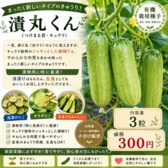 ○作りやすい 瓜 種セット 一夜漬漬 漬物に最適 - メルカリ