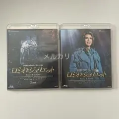 激レア】【廃盤】マルメロの陽光 [DVD] ビクトル・エリセ - メルカリ