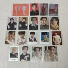 ディノ トレカ まとめ売り