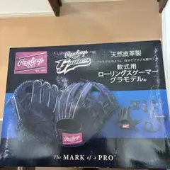 2025年最新】Rawlingsの人気アイテム - メルカリ