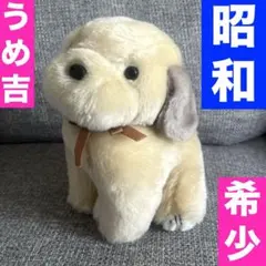 2026年最新】うめ吉 ぬいぐるみの人気アイテム - メルカリ