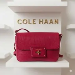 【美品】COLE HAAN コールハーン ミニショルダー ターンロック ボルドー