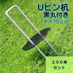 Uピン杭 黒丸 100本 10cm 園芸 U字ピン 防草シート 人工芝 農業のサムネイル