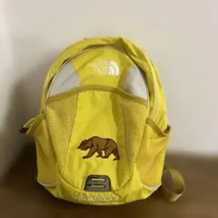 THE NORTH FACE HOMESLICE イエローリュック