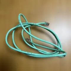 水色 CAT5e LANケーブル 30V
