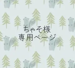 ちゃそ様専用ページ