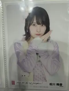 専用出品です。坂川陽香 生写真 坂川陽香 AKB48 2025年4月 netshop限定 生写真+カード コンプ