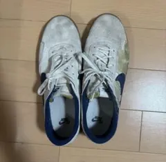 NIKE SB スニーカー ガムソール 27.5cm