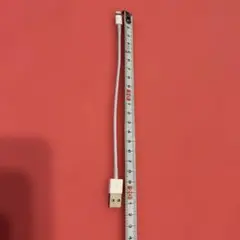 Lightningケーブル USB 約18センチ
