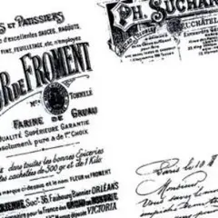 Item thumbnail for item bece5e5c-40ff-43ac-b18d-97015434cafc