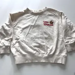 Item thumbnail for item b4a0abcf-e7e1-430a-bc53-b734c43c4549