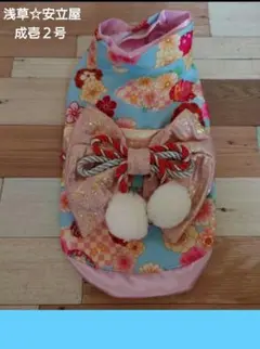 Item thumbnail for item 20f241e9-0d7b-49e9-acc0-9b0bbb70658d