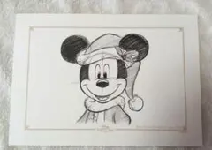 東京ディズニーランド ドローイングクラス ミニー イラスト 新品 クリスマス