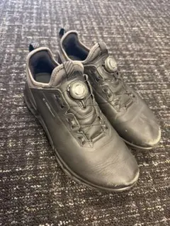 ECCO BIOM H4 BOA ゴルフシューズ 27.5cm GORE-TEX - メルカリ