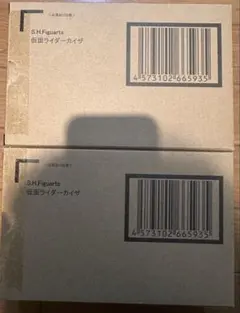 【2個セット】S.H.Figuarts（真骨彫製法）仮面ライダーカイザ