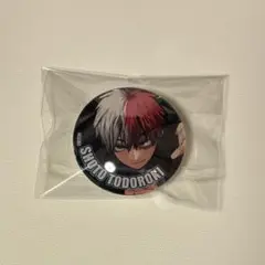 ヒロアカ　ガラスマグネットコレクション　轟焦凍