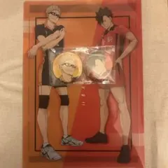 ハイキュー!! ゴミ捨て場の決戦 円盤特典 アニメイト クリアファイル 缶バッジ