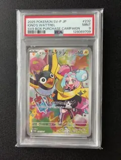 2026年最新】ナンジャモのカイデン psa9の人気アイテム - メルカリ