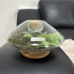 2026年最新】EMILIO ROBBA 花瓶・フラワースタンドの人気アイテム