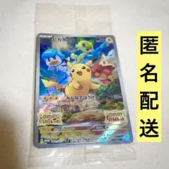 ポケモンSV 早期購入特典「みんなでぼうけん ピカチュウ」プロモ