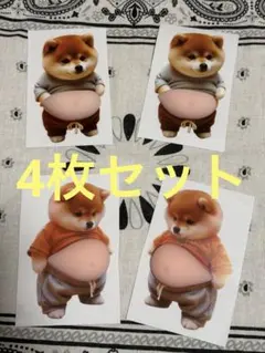 新製品　4点セット　柴犬 お腹ぷにぷにシール 3Dシール ステッカーシール帳