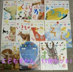 スーパーワイドずかん 全12巻セット - メルカリ