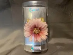 Item thumbnail for item 6ecab95d-c592-451b-ae91-b47fafc878ca