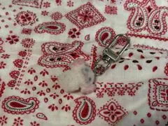 Item thumbnail for item 27ab4a73-fd66-44ca-ab86-4a434ed27e11