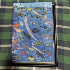 深海魚　パズルのサムネイル