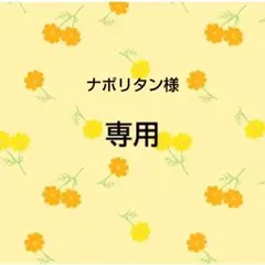 ナポリタン様　おまとめ品専用出品