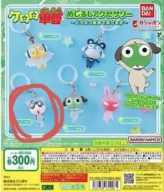 専用ページ
