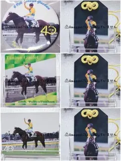 メジロマックイーン 記念馬蹄と写真セット　天皇賞　武豊　盾 メジロマックイーン 武豊 天皇賞 蹄鉄 記念盾 - メルカリ