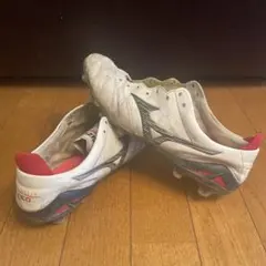 モレリアネオ4