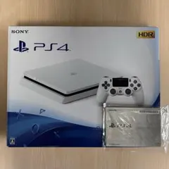 PlayStation 4 本体