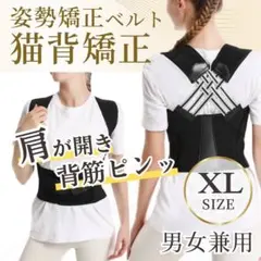 猫背矯正 姿勢サポーター 背筋ベルト 男女兼用 肩甲骨サポート