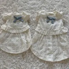 Item thumbnail for item 255439d8-4d98-4b8f-b2ee-eadb4df1f1ca