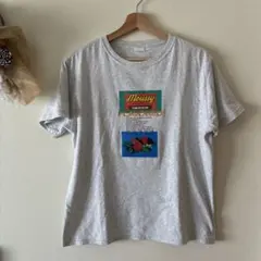 Moussy マウジー　フレーバーTシャツ グレー 半袖　F