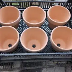 新品 素焼き 植木鉢 5号サイズ 6個　【テラコッタ　素焼き鉢】