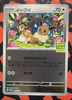 2026年最新】ポケモンカードゲームはじめようキャンペーンの人気