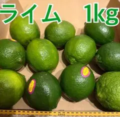 新鮮ライム 1kg 10個入りのサムネイル