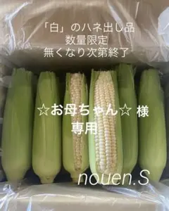 ☆お母ちゃん☆様、専用