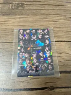 RIZIN 40 トレーディングカード