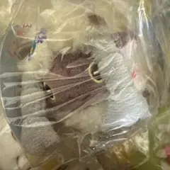 Item thumbnail for item 6d9f9a91-859a-4d6c-a0ea-1ffa7aaea545