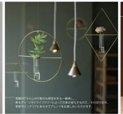 PIKE wall brass vase rect 壁掛け 一輪挿し レクトのサムネイル