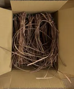 R8年産葡萄蔓 巾6㎜ 1k - メルカリ