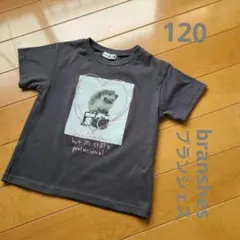 branshes ブランシェス　アソートアニマル半袖Tシャツ ハリネズミ 120のサムネイル