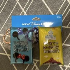 【新品未使用】TOKYO Disney RESORTキーホルダーカラビナケース付
