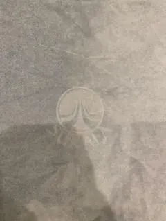 Item thumbnail for item 6a2b71c9-40a7-42b2-a180-6ac29c0fb37f