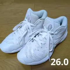 asics バスケットボールシューズ GELHOOP V16